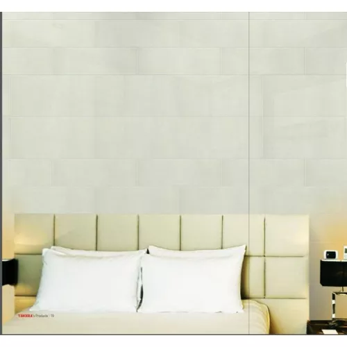 Gạch Taicera PC600x298-703N