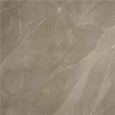 Gạch Tây Ban Nha 59.5x59.5 HLT66001TC