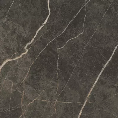 Gạch Tây Ban Nha HLT99010H8