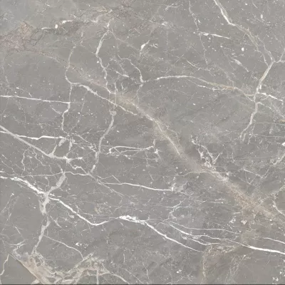 Gạch Tây Ban Nha HLT99015H8