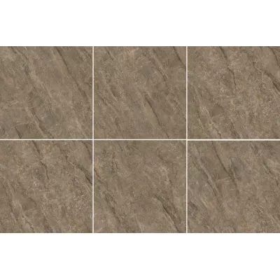 Gạch Trung Quốc HLTQ110008HD