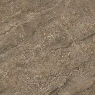 Gạch Trung Quốc HLTQ110008HD