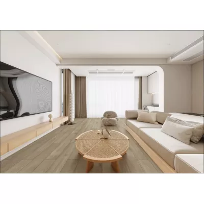 Gạch Trung Quốc HLTQ21000HN