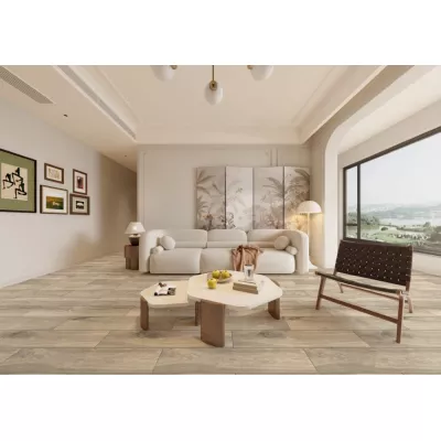 Gạch Trung Quốc HLTQ21002HN