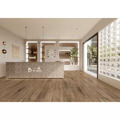 Gạch Trung Quốc HLTQ21003HN