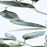 Gạch Trung Quốc HLTQ612034HD