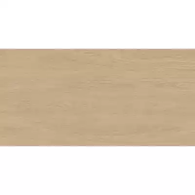 Gạch Trung Quốc HLTQ612102EL