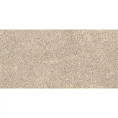 Gạch Viglacera AZ5-GM3604