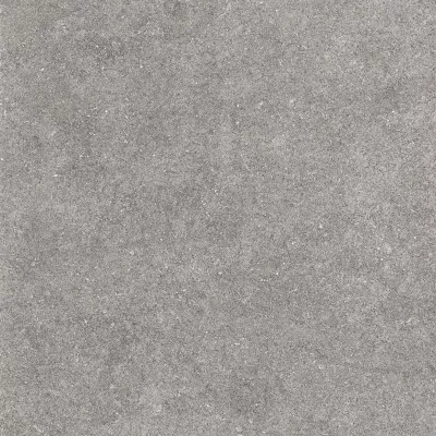 Gạch Viglacera AZ5-GM6602