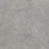 Gạch Viglacera AZ5-GM6602