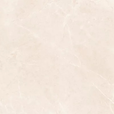 Gạch Viglacera AZ55-9GP101004