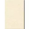 Gạch Viglacera B 4503