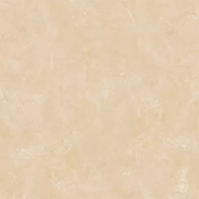 Gạch Viglacera B 6005