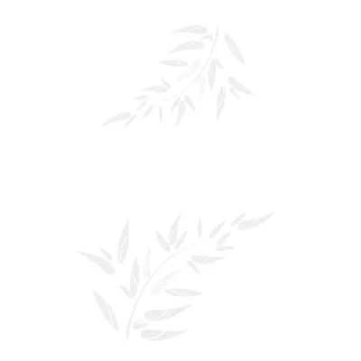 Gạch Viglacera B4501