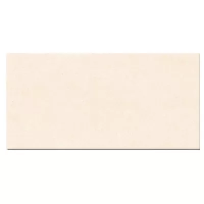 Gạch Viglacera BS 3651