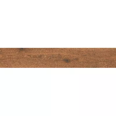 Gạch Viglacera CA10-GK15904