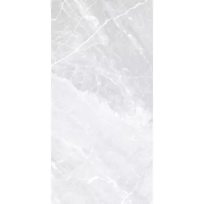 Gạch Viglacera CB-P3603