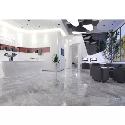 Gạch Viglacera CB-P607