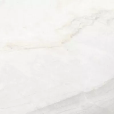 Gạch Viglacera CB-PT61203