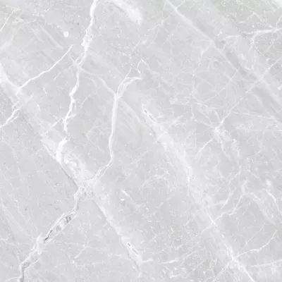 Gạch Viglacera CB-PT61208