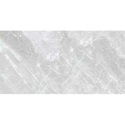 Gạch Viglacera CBP61208