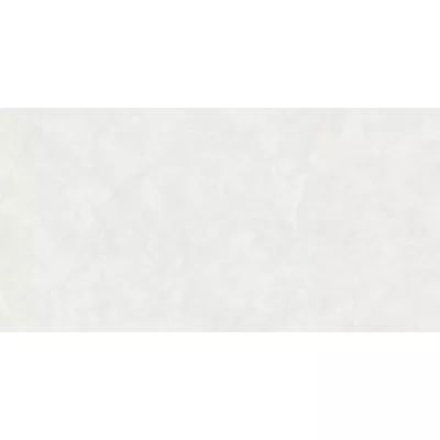 Gạch Viglacera CL-369