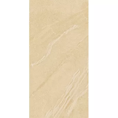 Gạch Viglacera CL-BS3602