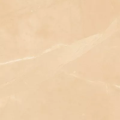 Gạch Viglacera CL-GP4806