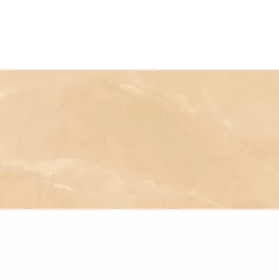 Gạch Viglacera CL-GP4806