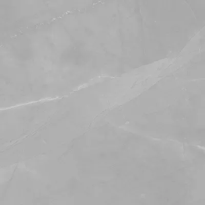 Gạch Viglacera CL-GP4808