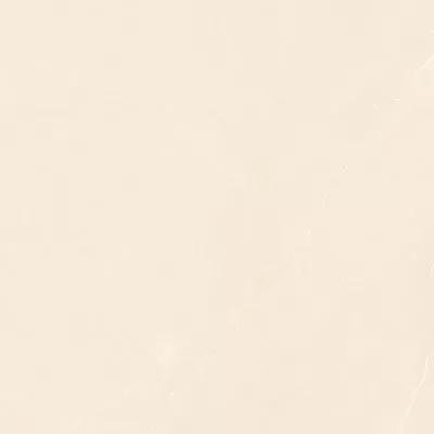 Gạch Viglacera CL-GP61208