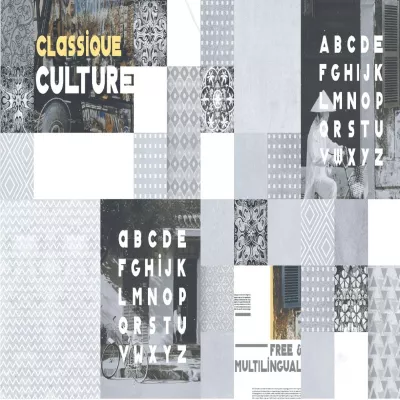 Gạch Viglacera CL1-GP4801A