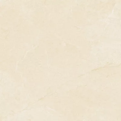 Gạch Viglacera CL4-GP4805