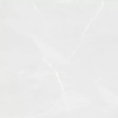 Gạch Viglacera CL5-GP4801