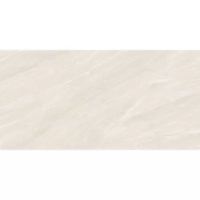 Gạch Viglacera ECO48502