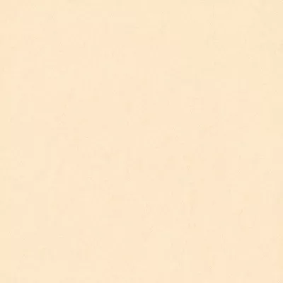 Gạch Viglacera ECOM605-1