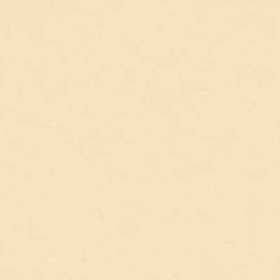 Gạch Viglacera ECOM605