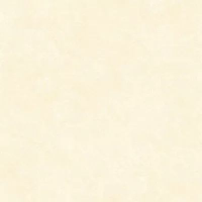 Gạch Viglacera ECOM621-1