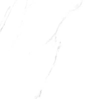 Gạch Viglacera ECOS601-2