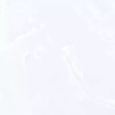 Gạch Viglacera ECOS829