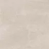 Gạch Viglacera FL2-GM6601