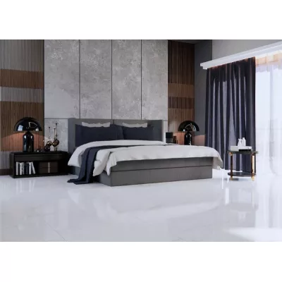 Gạch Viglacera FL3-GP6601