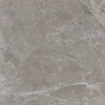 Gạch Viglacera FL4 GP8803