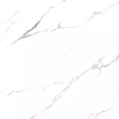 Gạch Viglacera FL51-9GP101001