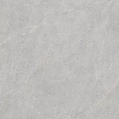 Gạch Viglacera FL6 GP8803