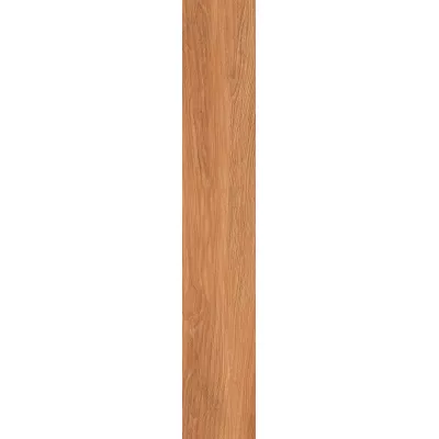 Gạch Viglacera GT21221