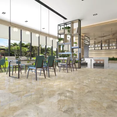 Gạch Viglacera H 502