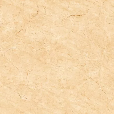 Gạch Viglacera H 503