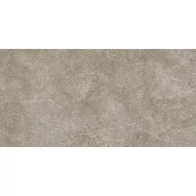 Gạch Viglacera M 3603