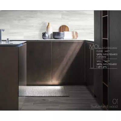 Gạch Viglacera MOL I02